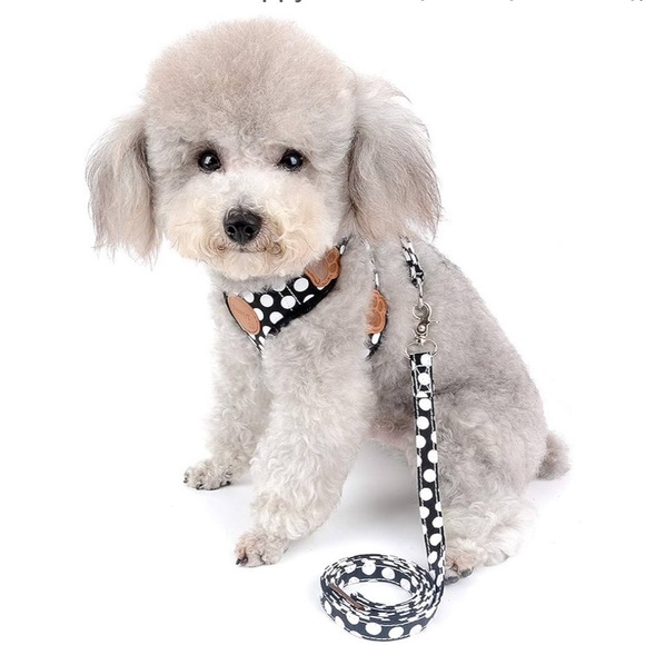 Harness and Leash set for Small Dog or Cat Black & White Polka Dots - Picture 6 of 7